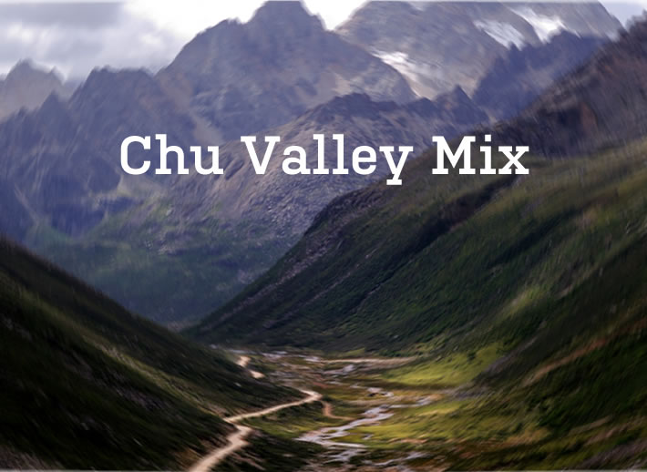 Abel: Chu Valley Mix on Racket Racket