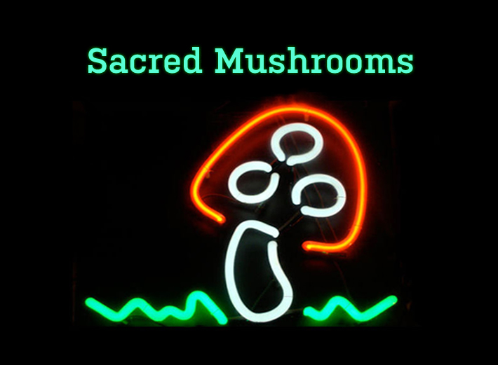 Sacred Mushrooms: A mix bu Joe's Bakery on RR
